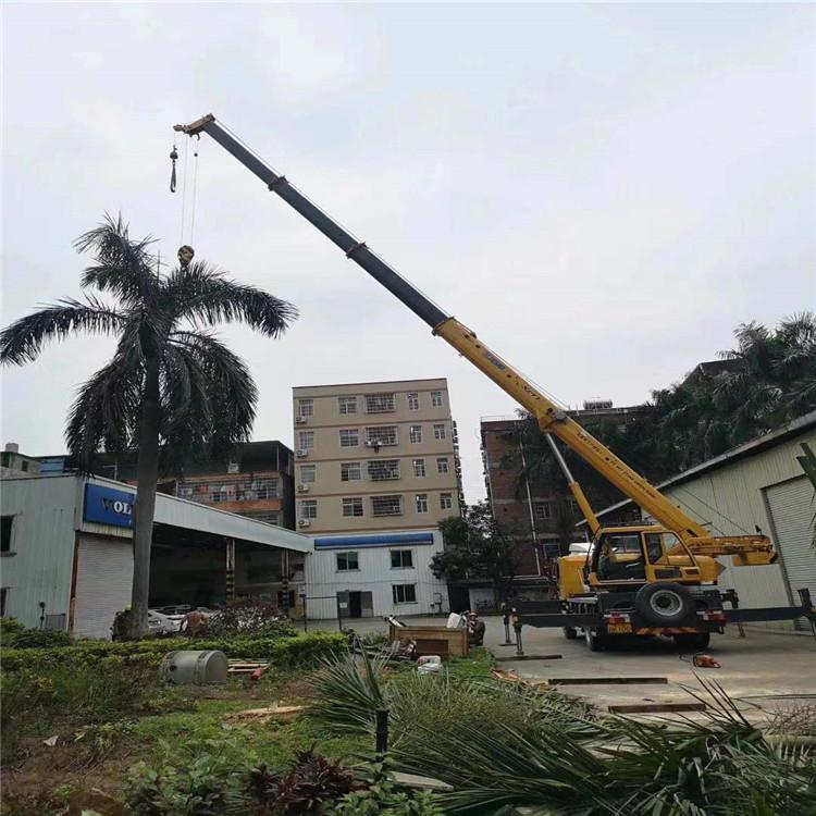 鱼台汽车吊出租多少钱？全面解析与市场行情